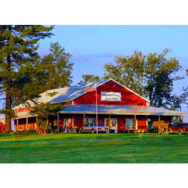 Mill Street Florist, llc florist in Monarch Mill SC
